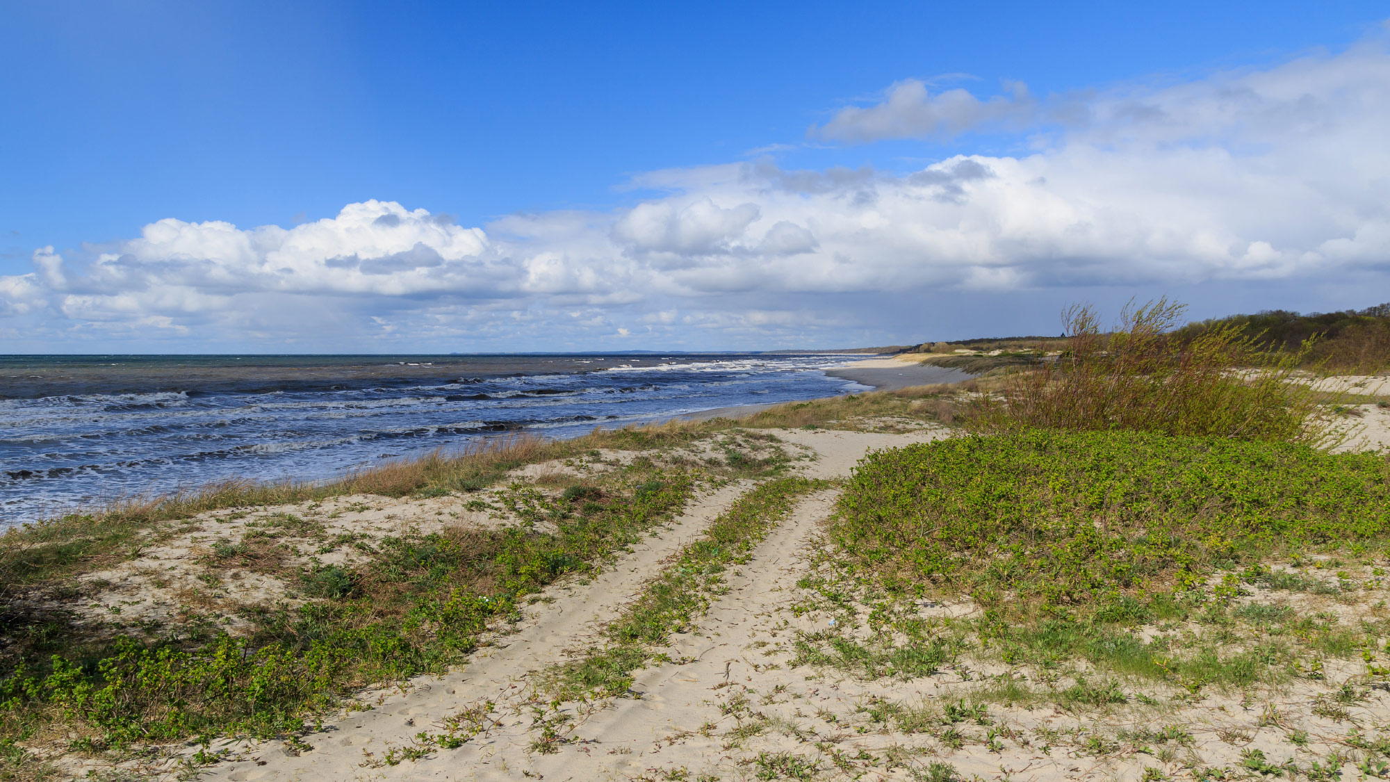 Baltiysk (Балтийск, Pillau)